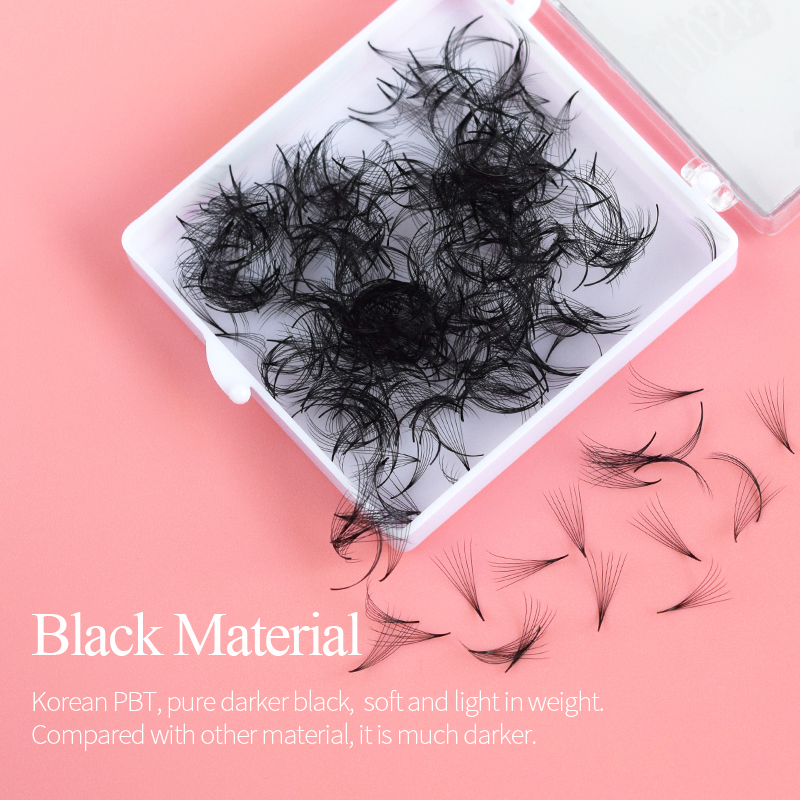 Song lashes Promade Fans 3D-10 - đánh giá và giá Eyelash Extension Korea