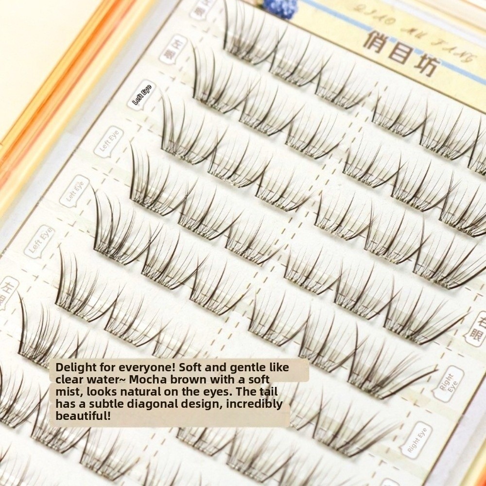 Mocha Brown Self Adhesive Fals - đánh giá và giá Eyelash Extension No 10