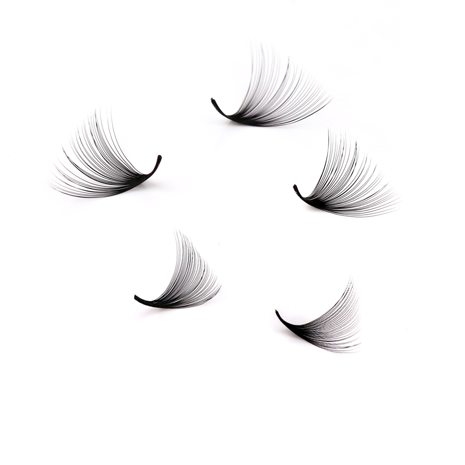 Lashprofessor XL Tray 3D 4D 5D - đánh giá và giá Eyelash Extension Russian