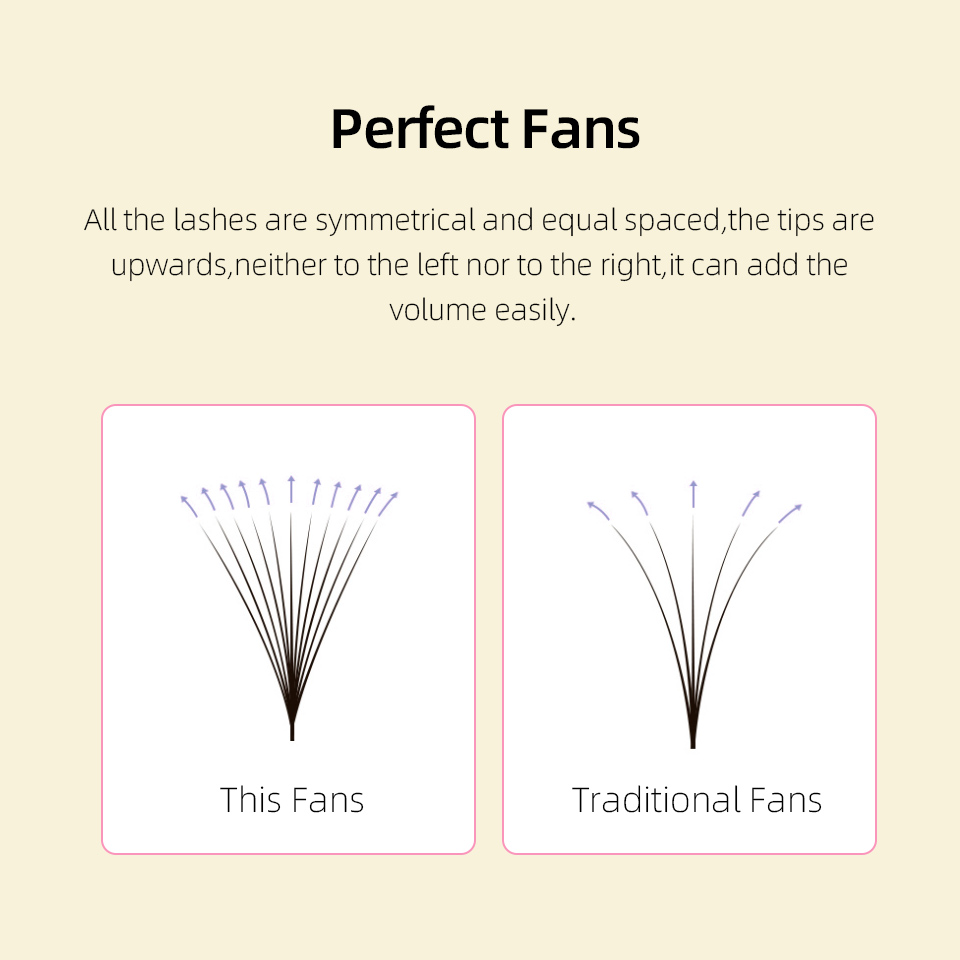 Lashprofessor XL Tray 3D 4D 5D - đánh giá và giá Eyelash Extension Russian
