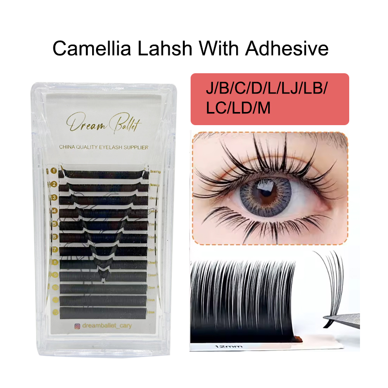 dream ballet Camellia Lashes w - đánh giá và giá Eyelash Extension Russian