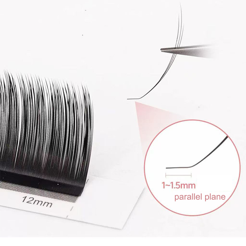 dream ballet Camellia Lashes w - đánh giá và giá Eyelash Extension Russian