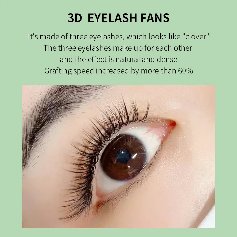 GLAMLASH 3D/4D/5D W Hình Hàng  - đánh giá và giá Lash Fan Volume