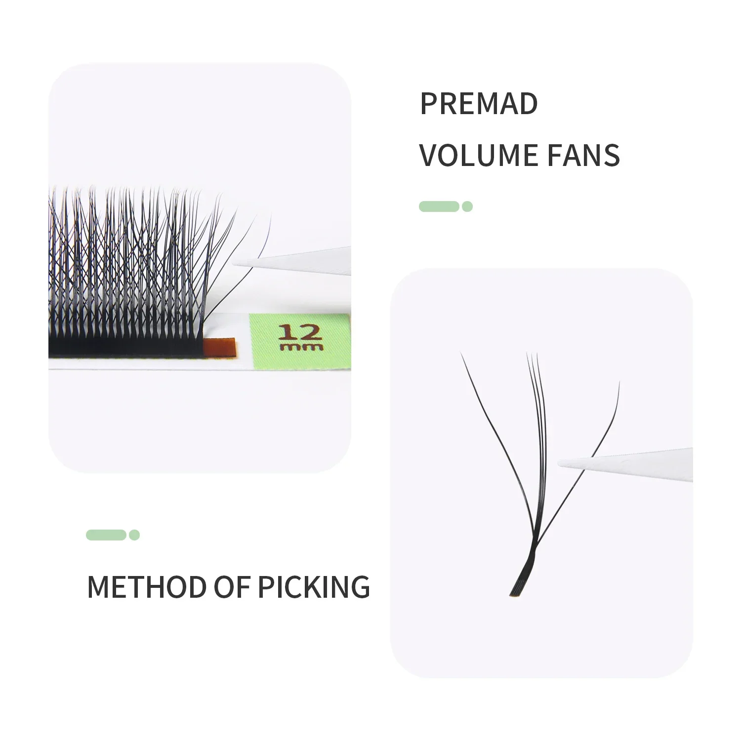 GLAMLASH 3D/4D/5D W Hình Hàng  - đánh giá và giá Lash Fan Volume