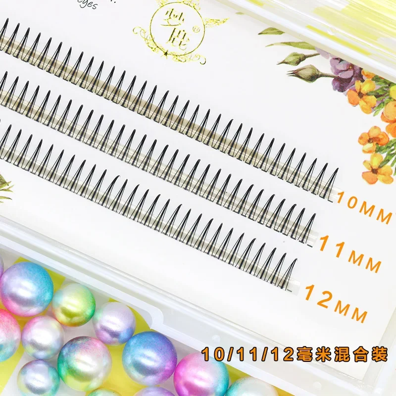 Dream Deer A/M Type A False Ey - đánh giá và giá Eyelash Extension Korea