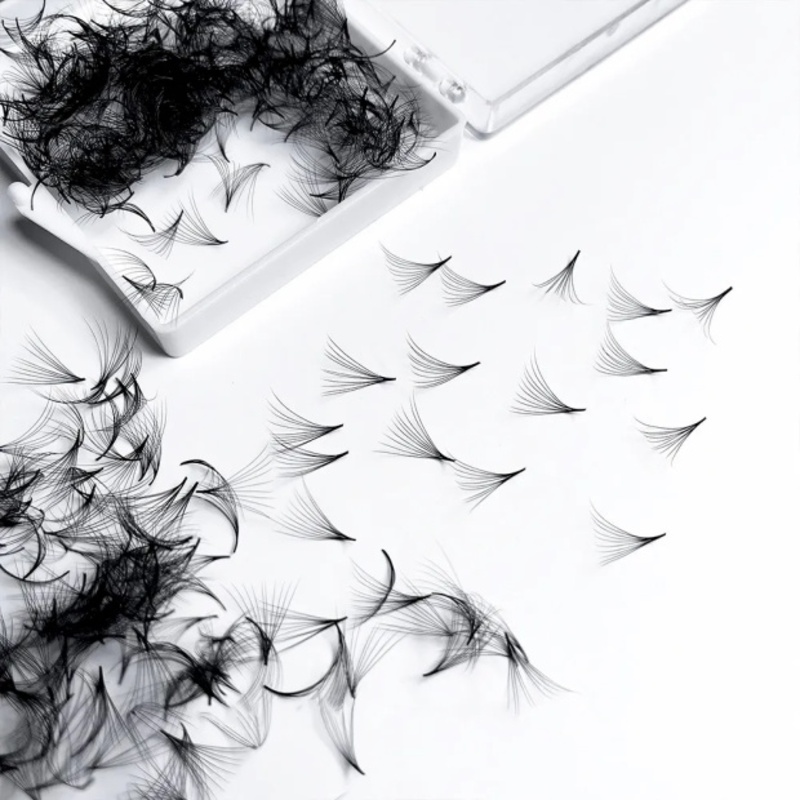 500 Fans Handmade Loose Premad - đánh giá và giá Eyelash Extension Medium
